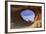 Utah, Arches National Park, Tunnel Arch, Devils Garden Area-David Wall-Framed Photographic Print