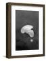 Utah, Arches National Park-Judith Zimmerman-Framed Photographic Print