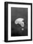 Utah, Arches National Park-Judith Zimmerman-Framed Photographic Print