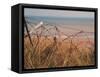 Utah Beach, Calvados, France-David Hughes-Framed Stretched Canvas