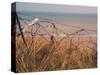 Utah Beach, Calvados, France-David Hughes-Stretched Canvas