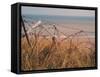 Utah Beach, Calvados, France-David Hughes-Framed Stretched Canvas