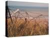 Utah Beach, Calvados, France-David Hughes-Stretched Canvas