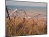 Utah Beach, Calvados, France-David Hughes-Mounted Photographic Print