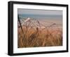 Utah Beach, Calvados, France-David Hughes-Framed Photographic Print