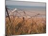 Utah Beach, Calvados, France-David Hughes-Mounted Photographic Print