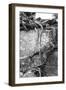 Utah. Black and White Image of Desert Juniper Tree Growing Out of a Canyon Wall-Judith Zimmerman-Framed Photographic Print