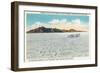 Utah, Bonneville Salt Flats View of Campbell in the Bluebird Going 301 mph-Lantern Press-Framed Art Print