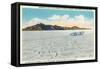 Utah, Bonneville Salt Flats View of Campbell in the Bluebird Going 301 mph-Lantern Press-Framed Stretched Canvas