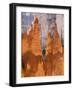 Utah, Bryce Canyon National Park, Bryce Canyon and Hoodoos Along Peekaboo Loop Trail-Jamie And Judy Wild-Framed Photographic Print