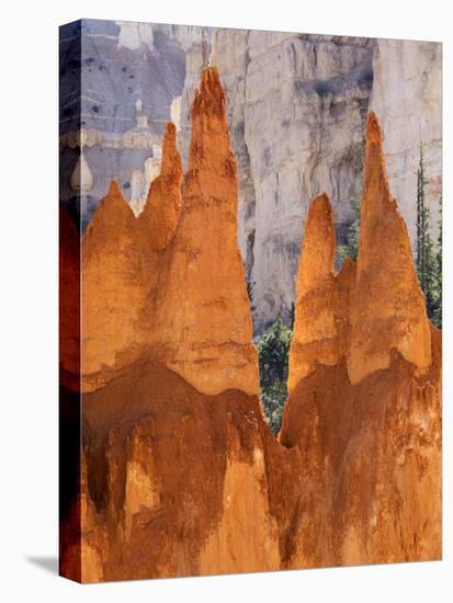 Utah, Bryce Canyon National Park, Bryce Canyon and Hoodoos Along Peekaboo Loop Trail-Jamie And Judy Wild-Stretched Canvas