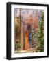 Utah, Bryce Canyon National Park, Bryce Canyon and Hoodoos Along Peekaboo Loop Trail-Jamie And Judy Wild-Framed Photographic Print