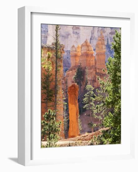 Utah, Bryce Canyon National Park, Bryce Canyon and Hoodoos Along Peekaboo Loop Trail-Jamie And Judy Wild-Framed Photographic Print