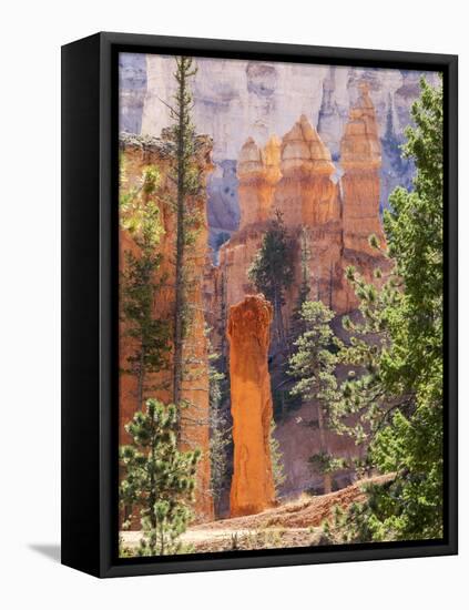 Utah, Bryce Canyon National Park, Bryce Canyon and Hoodoos Along Peekaboo Loop Trail-Jamie And Judy Wild-Framed Stretched Canvas