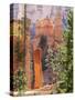 Utah, Bryce Canyon National Park, Bryce Canyon and Hoodoos Along Peekaboo Loop Trail-Jamie And Judy Wild-Stretched Canvas