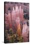 Utah, Bryce Canyon National Park, Bryce Canyon and Hoodoos-Jamie And Judy Wild-Stretched Canvas