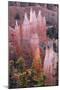 Utah, Bryce Canyon National Park, Bryce Canyon and Hoodoos-Jamie And Judy Wild-Mounted Photographic Print