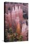 Utah, Bryce Canyon National Park, Bryce Canyon and Hoodoos-Jamie And Judy Wild-Stretched Canvas