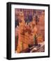 Utah, Bryce Canyon National Park, Bryce Canyon and Hoodoos-Jamie And Judy Wild-Framed Photographic Print