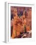 Utah, Bryce Canyon National Park, Bryce Canyon and Hoodoos-Jamie And Judy Wild-Framed Photographic Print