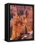 Utah, Bryce Canyon National Park, Bryce Canyon and Hoodoos-Jamie And Judy Wild-Framed Stretched Canvas