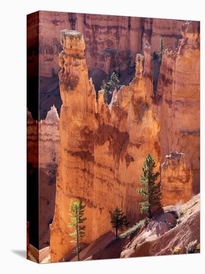 Utah, Bryce Canyon National Park, Bryce Canyon and Hoodoos-Jamie And Judy Wild-Stretched Canvas