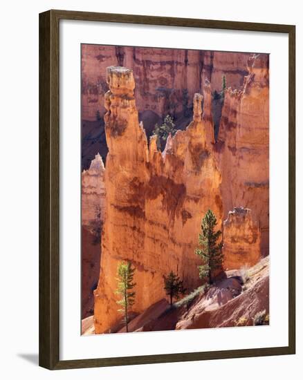 Utah, Bryce Canyon National Park, Bryce Canyon and Hoodoos-Jamie And Judy Wild-Framed Photographic Print