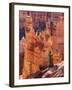 Utah, Bryce Canyon National Park, Bryce Canyon and Hoodoos-Jamie And Judy Wild-Framed Photographic Print