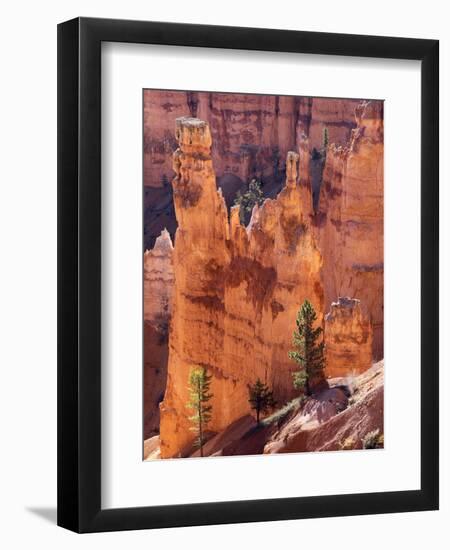 Utah, Bryce Canyon National Park, Bryce Canyon and Hoodoos-Jamie And Judy Wild-Framed Photographic Print