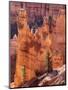 Utah, Bryce Canyon National Park, Bryce Canyon and Hoodoos-Jamie And Judy Wild-Mounted Photographic Print