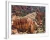 Utah, Bryce Canyon National Park, Bryce Canyon and Hoodoos-Jamie And Judy Wild-Framed Photographic Print