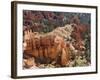 Utah, Bryce Canyon National Park, Bryce Canyon and Hoodoos-Jamie And Judy Wild-Framed Photographic Print