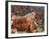 Utah, Bryce Canyon National Park, Bryce Canyon and Hoodoos-Jamie And Judy Wild-Framed Photographic Print