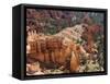 Utah, Bryce Canyon National Park, Bryce Canyon and Hoodoos-Jamie And Judy Wild-Framed Stretched Canvas