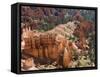 Utah, Bryce Canyon National Park, Bryce Canyon and Hoodoos-Jamie And Judy Wild-Framed Stretched Canvas