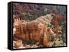 Utah, Bryce Canyon National Park, Bryce Canyon and Hoodoos-Jamie And Judy Wild-Framed Stretched Canvas