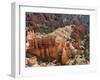 Utah, Bryce Canyon National Park, Bryce Canyon and Hoodoos-Jamie And Judy Wild-Framed Photographic Print