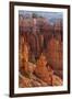 Utah, Bryce Canyon National Park, Bryce Canyon and Hoodoos-Jamie And Judy Wild-Framed Photographic Print