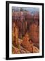 Utah, Bryce Canyon National Park, Bryce Canyon and Hoodoos-Jamie And Judy Wild-Framed Photographic Print