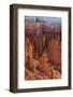 Utah, Bryce Canyon National Park, Bryce Canyon and Hoodoos-Jamie And Judy Wild-Framed Photographic Print