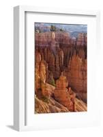 Utah, Bryce Canyon National Park, Bryce Canyon and Hoodoos-Jamie And Judy Wild-Framed Photographic Print