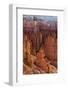 Utah, Bryce Canyon National Park, Bryce Canyon and Hoodoos-Jamie And Judy Wild-Framed Photographic Print