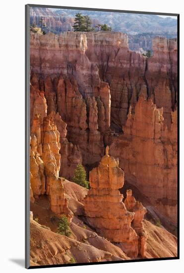 Utah, Bryce Canyon National Park, Bryce Canyon and Hoodoos-Jamie And Judy Wild-Mounted Photographic Print