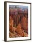 Utah, Bryce Canyon National Park, Bryce Canyon and Hoodoos-Jamie And Judy Wild-Framed Photographic Print