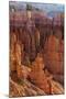 Utah, Bryce Canyon National Park, Bryce Canyon and Hoodoos-Jamie And Judy Wild-Mounted Photographic Print