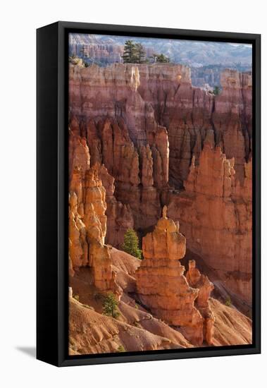 Utah, Bryce Canyon National Park, Bryce Canyon and Hoodoos-Jamie And Judy Wild-Framed Stretched Canvas