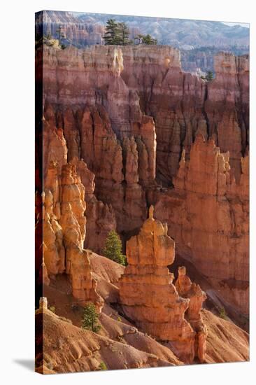 Utah, Bryce Canyon National Park, Bryce Canyon and Hoodoos-Jamie And Judy Wild-Stretched Canvas