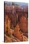 Utah, Bryce Canyon National Park, Bryce Canyon and Hoodoos-Jamie And Judy Wild-Stretched Canvas