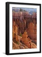 Utah, Bryce Canyon National Park, Bryce Canyon and Hoodoos-Jamie And Judy Wild-Framed Photographic Print