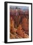 Utah, Bryce Canyon National Park, Bryce Canyon and Hoodoos-Jamie And Judy Wild-Framed Photographic Print